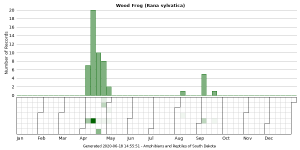 Phenology of Wood Frog (Rana sylvatica)
