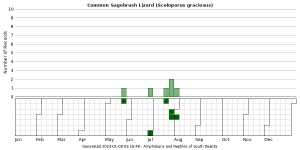 Phenology of Common Sagebrush Lizard (Sceloporus graciosus)